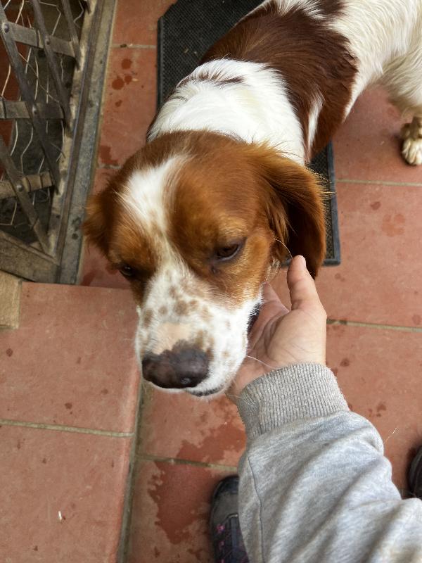 Poli Foto 5