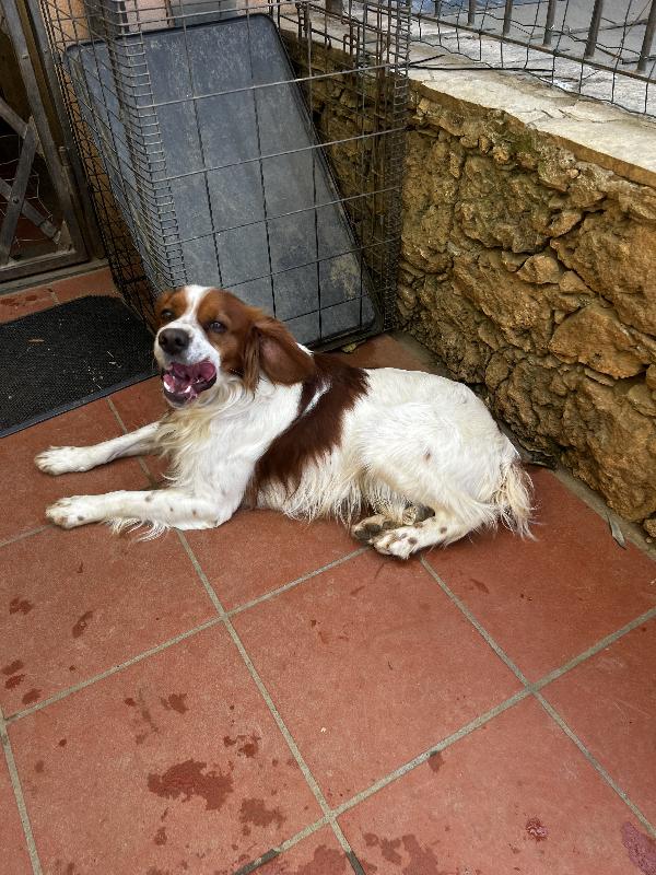 Poli Foto 6