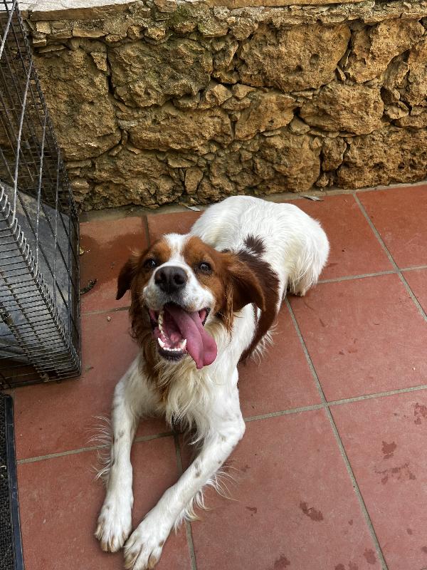 Poli Foto 7