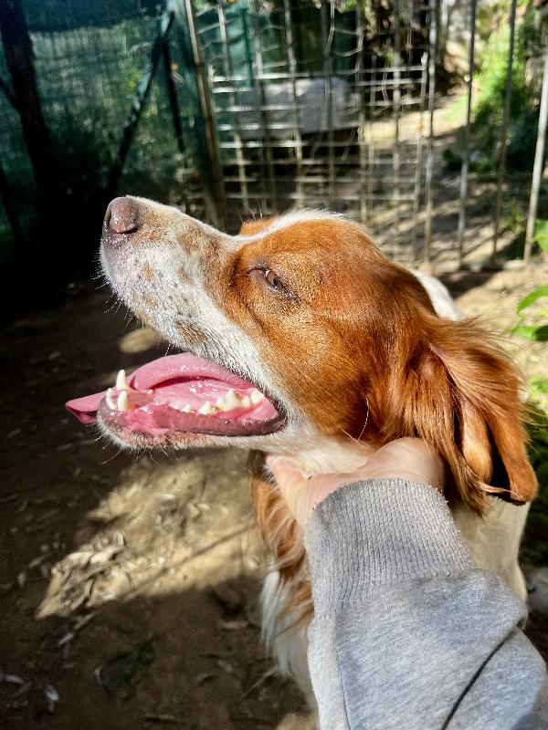 Poli Foto 8