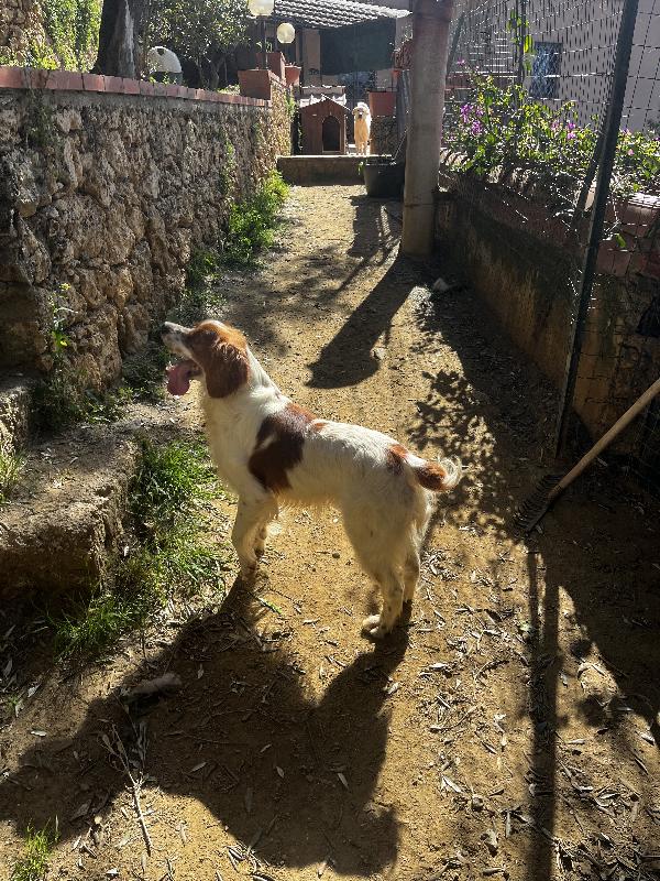 Poli Foto 9