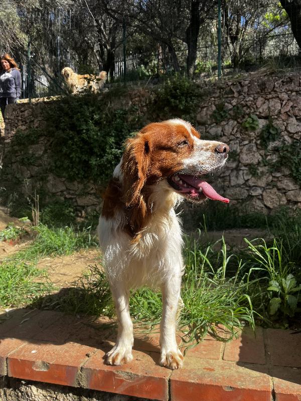 Poli Foto 10
