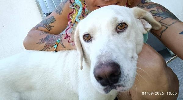 Casper 
