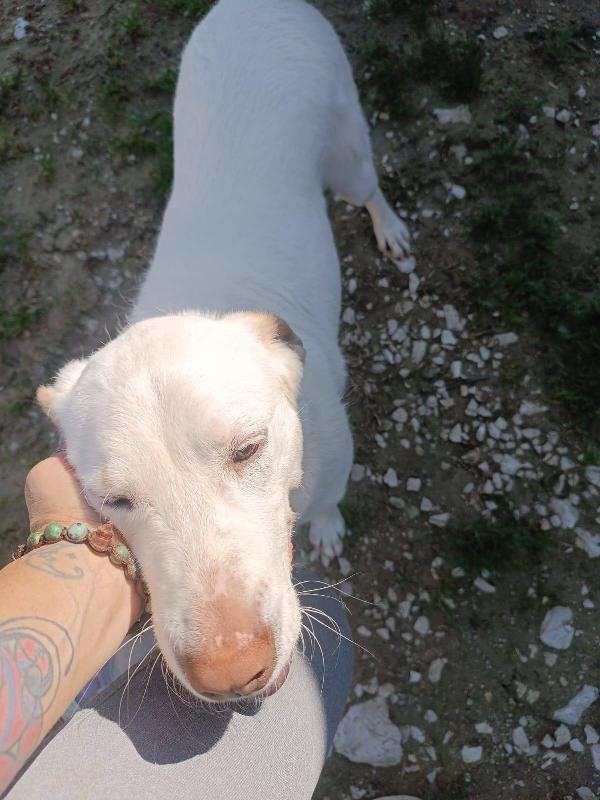 Casper  Foto 4