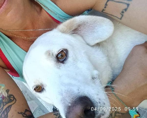 Casper  Foto 6