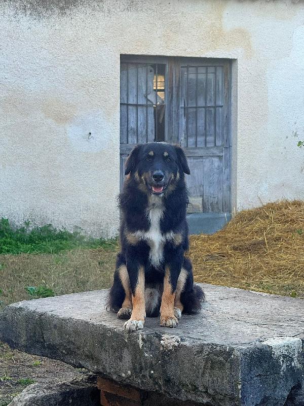 Nico Foto 4
