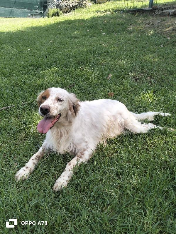 Thomas Setter 