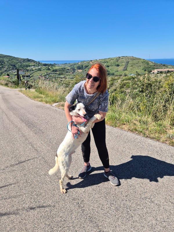 Bus il cagnolino che prendeva l'autobus  Foto 2