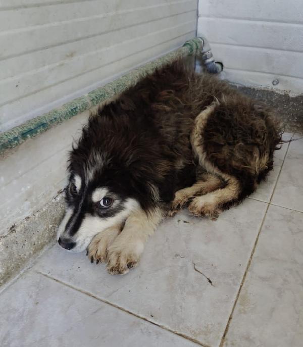 Yuri ed i suoi dolcissimi occhioni Foto 3