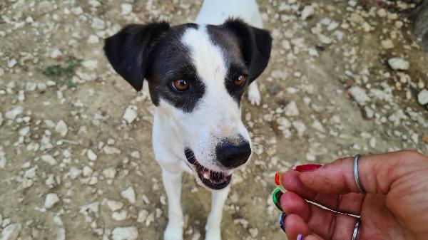 Connie