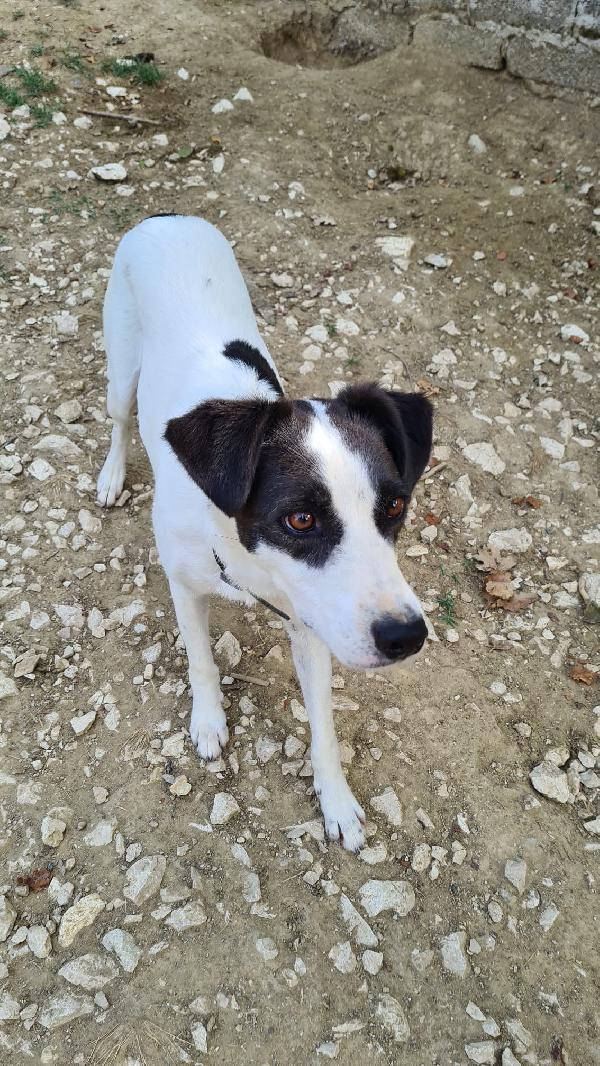 Connie Foto 2