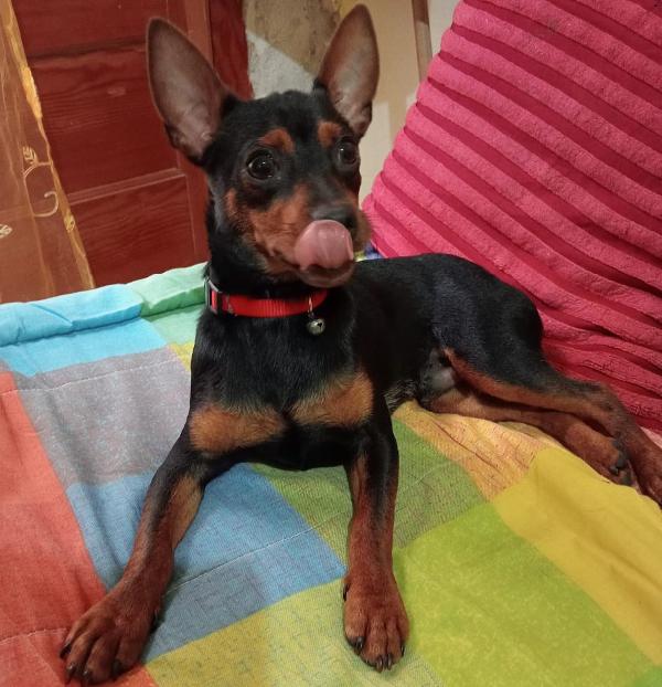 SPILLO Foto 2