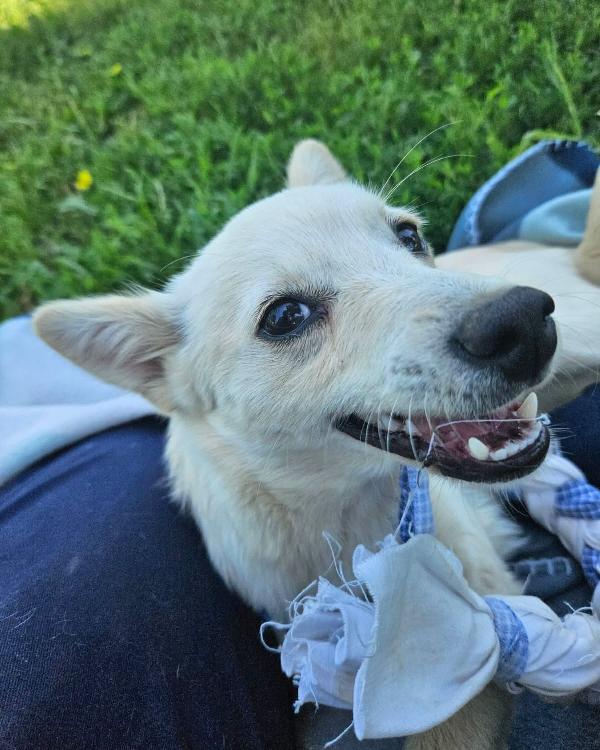 Missy Foto 2