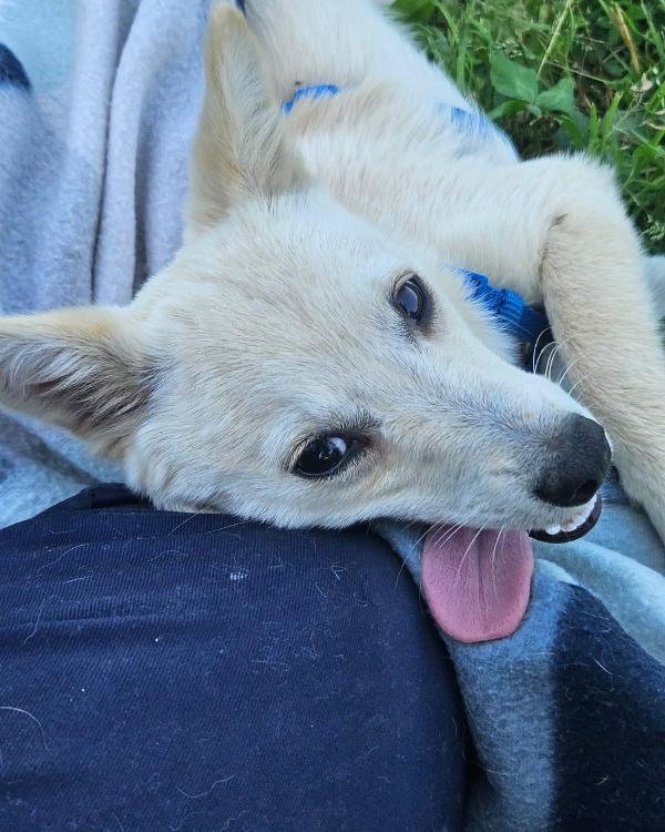 Missy Foto 3