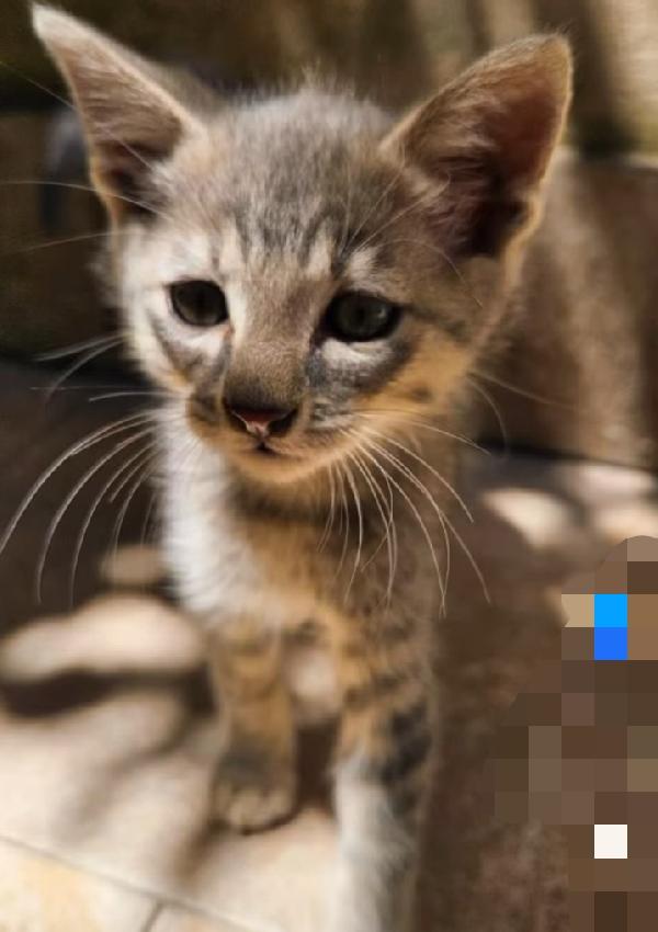 Asso: maschietto 3 mesi Foto 2