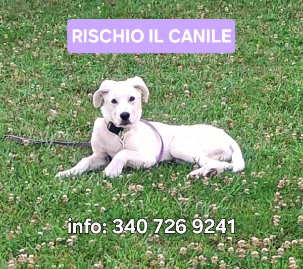 Yoshi...5 Mesi. Stallo Finito😭