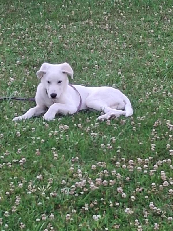 Yoshi...5 mesi. Stallo finito😭 Foto 3
