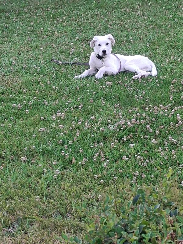 Yoshi...5 mesi. Stallo finito😭 Foto 4