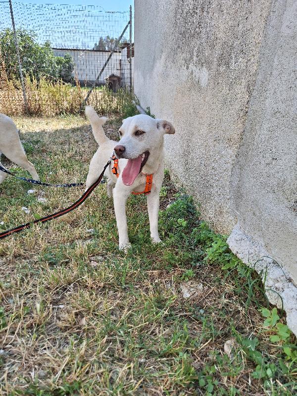 Akira  Foto 9