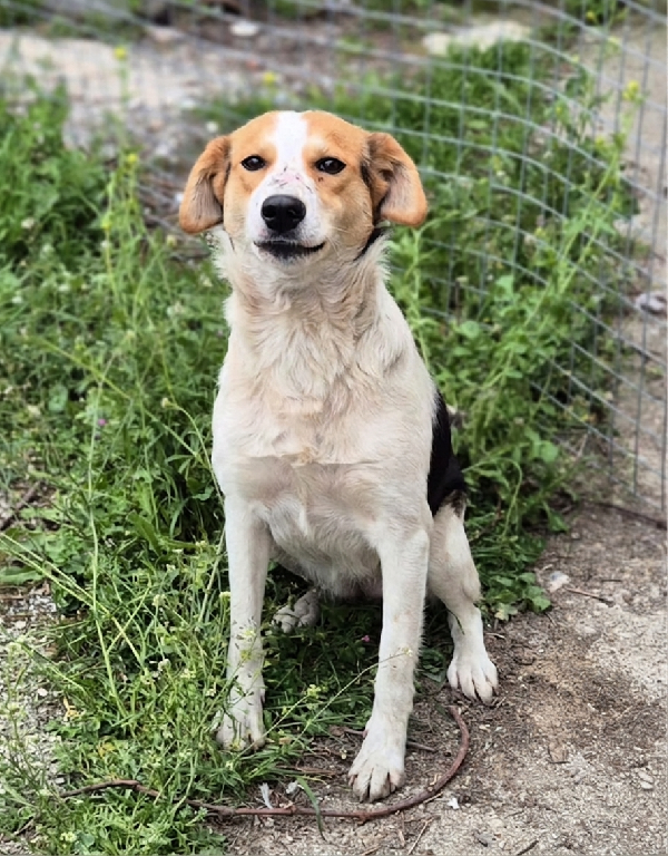 Nella