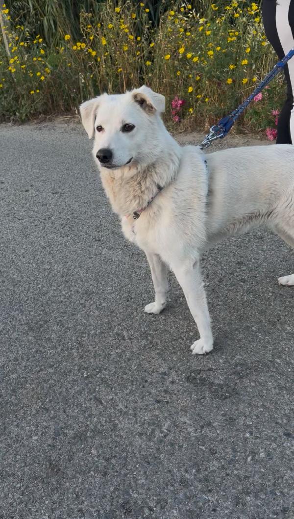Wilma, cerca una casetta sua Foto 2