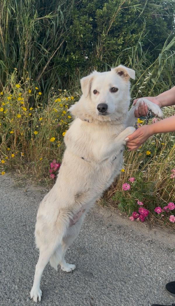 Wilma, cerca una casetta sua Foto 3