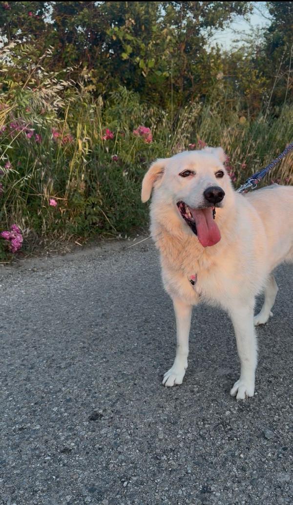 Wilma, cerca una casetta sua Foto 4