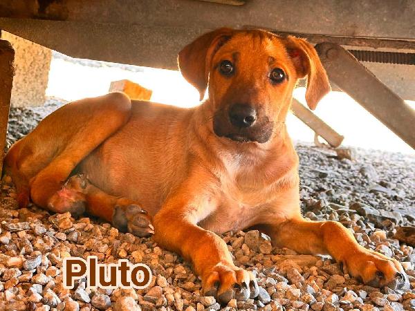 Pluto