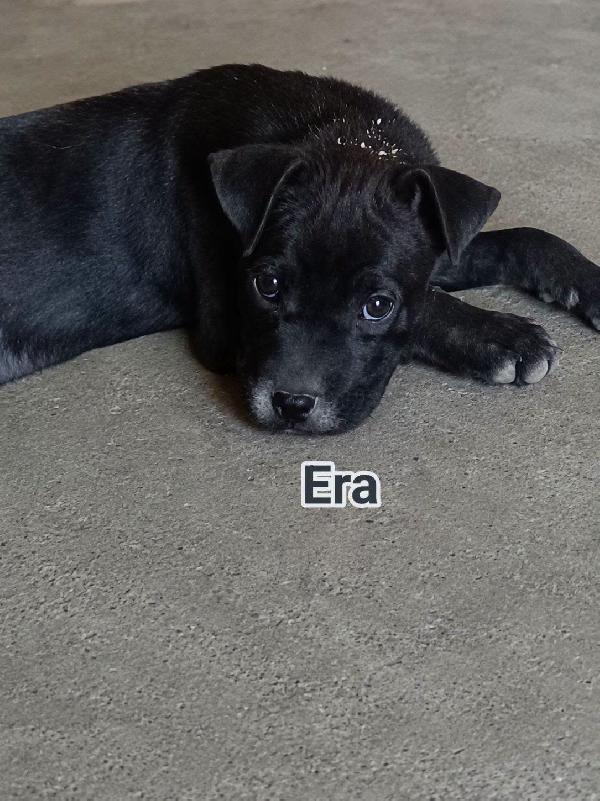 Era Foto 2