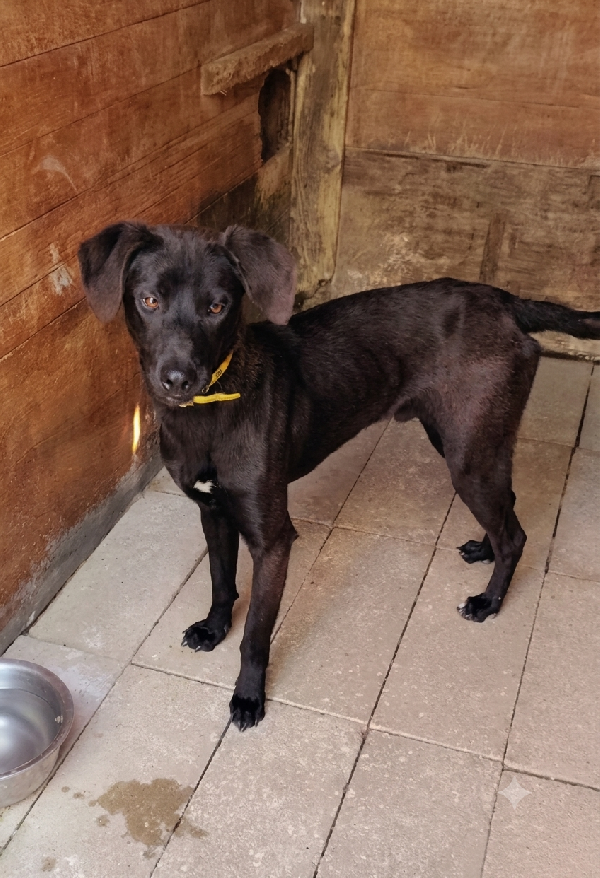 Ciccio Foto 2
