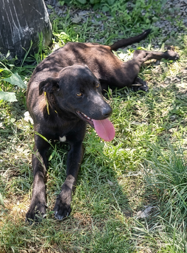 Ciccio Foto 4