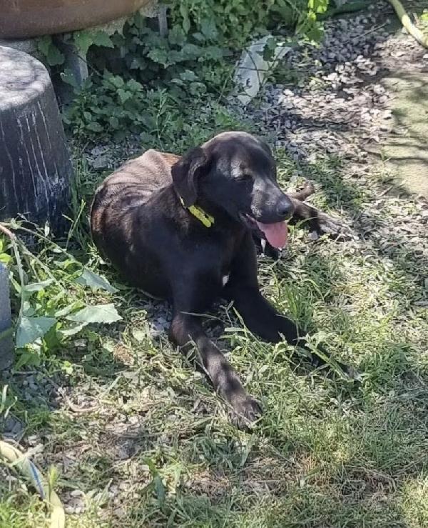 Ciccio Foto 5