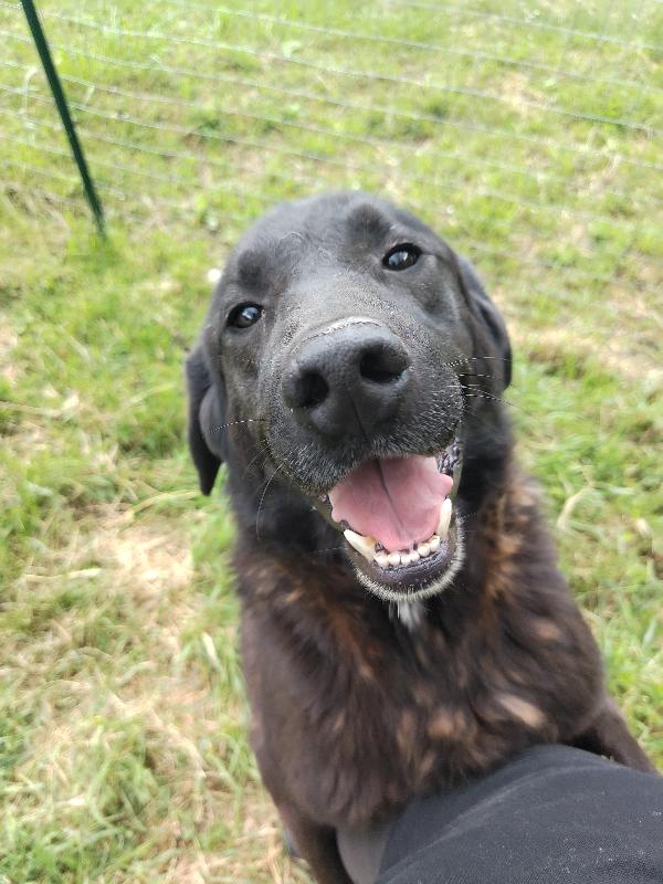 Zeus  Foto 2