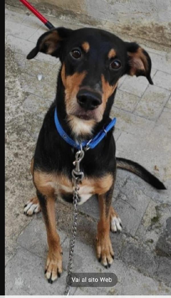 Aron 7Anni Vissuto X 6Anni In Casa Senza Mai Uscire! Sicilia