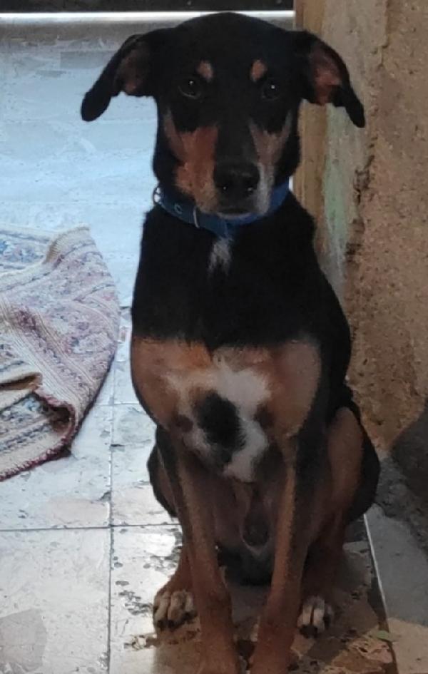 Aron 7anni vissuto x 6anni IN CASA SENZA MAI USCIRE! SICILIA Foto 2