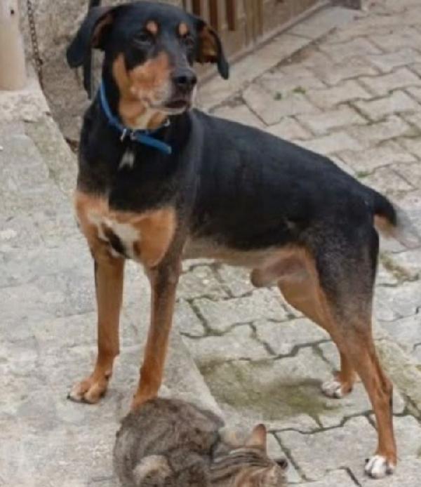 Aron 7anni vissuto x 6anni IN CASA SENZA MAI USCIRE! SICILIA Foto 3