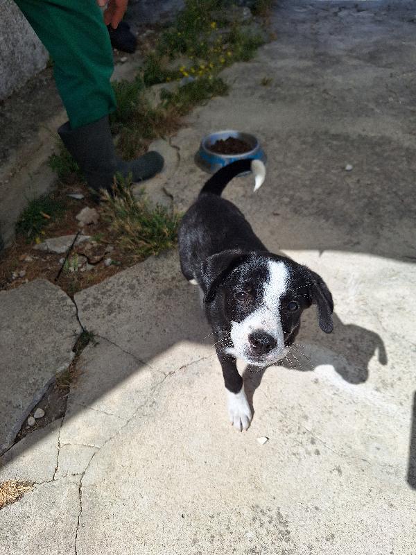 Bobo  Foto 5