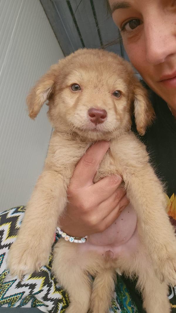 Crissy: 3 Mesi Taglia Contenuta 
