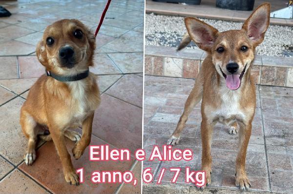 Tanti Piccoli: Max 15 Kg