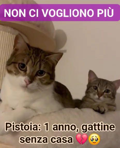 1 Anno. Non Le Vogliono Più 