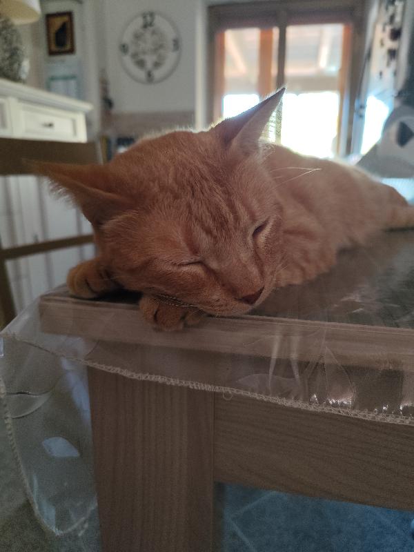 Leone