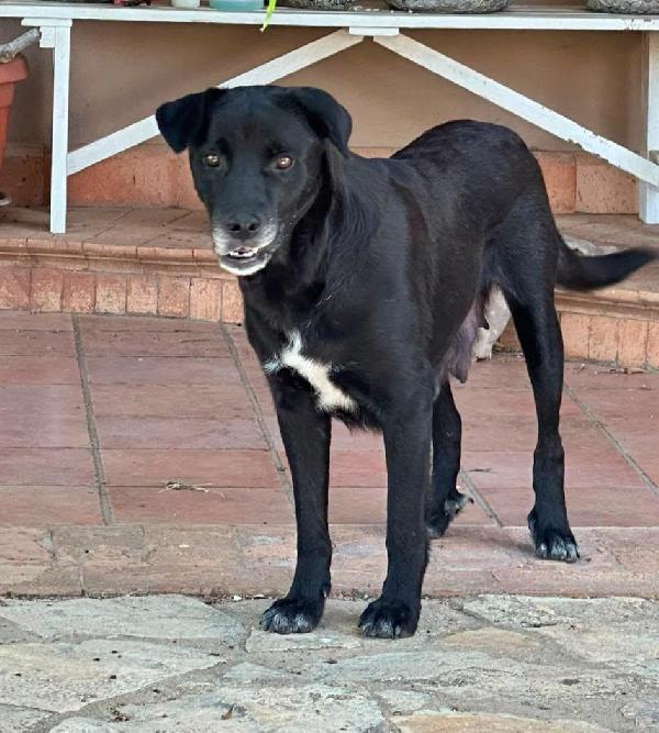 Bella di nome e di cuore Foto 3