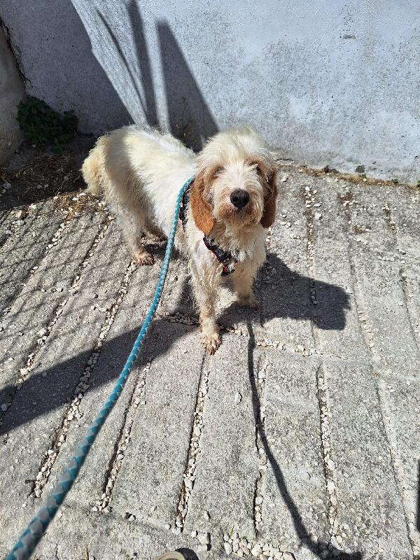 Lady Foto 2