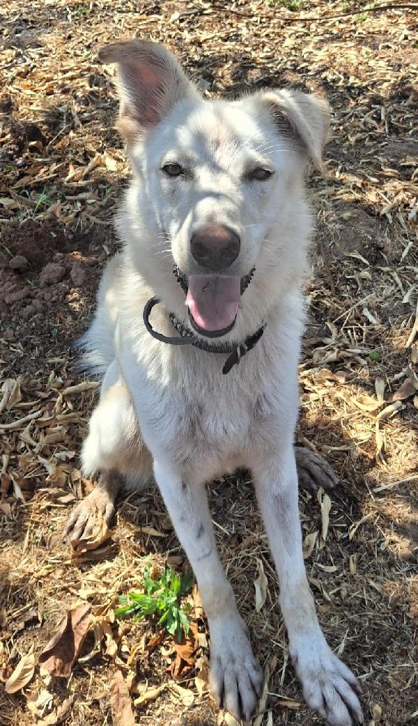 Luna🌝 Foto 7