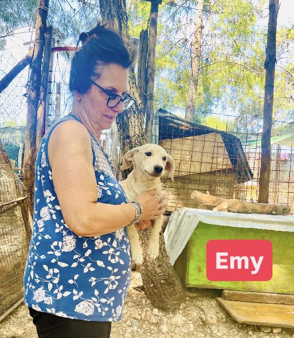 Cucciola Emy 8-10 Kg 