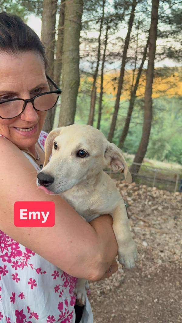 Cucciola Emy 8-10 kg 