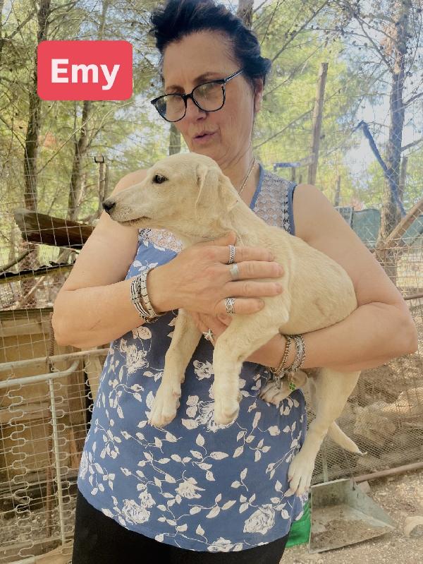 Cucciola Emy 8-10 kg  - media 4