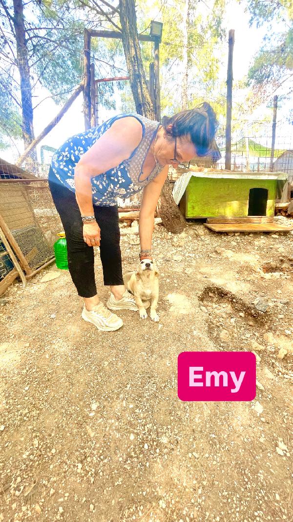 Cucciola Emy 8-10 kg  - media 5