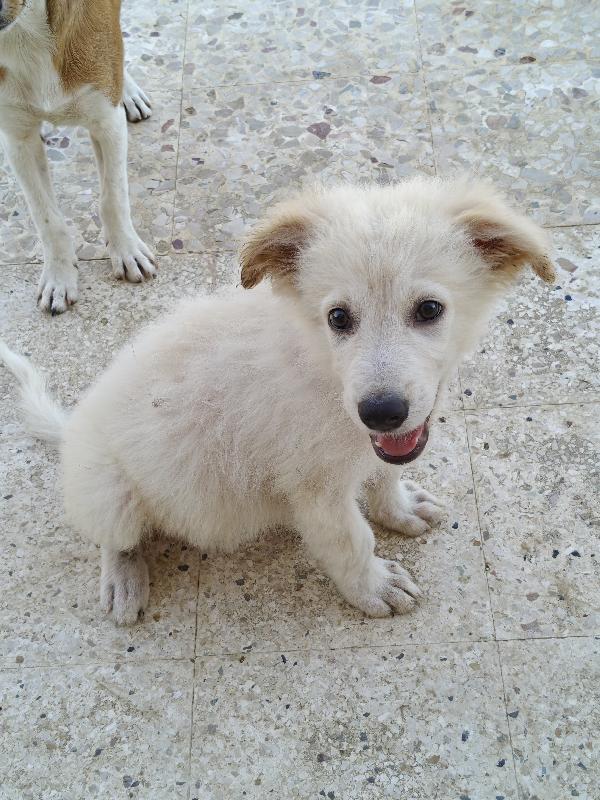 Oliver  Foto 3