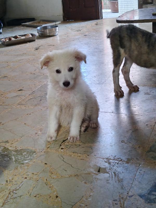 Oliver  Foto 4